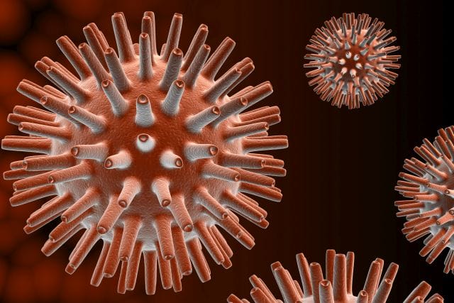 Herpesvirus als 3D-Illustration